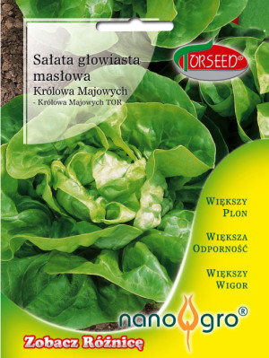 Nasiona Sałata głowiasta masłowa Królowa Majowych Torseed- Torseed