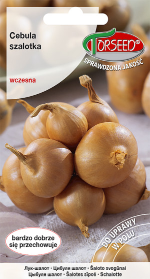 Nasiona Cebula szalotka Toto 1g - Torseed
