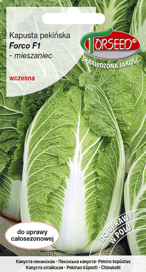 Nasiona Kapusta pekińska Forco F1 0,5g - Torseed