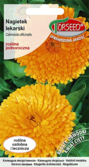 Nasiona Nagietek lekarski, Calendula officinalis 3g - Torseed