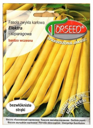 nasiona Fasola szparagowa zwykła karłowa, Elektra 30g Torseed- Torseed