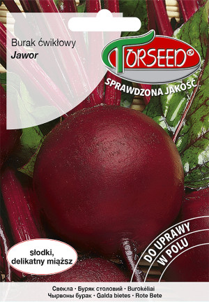 Nasiona Burak ćwikłowy Jawor 10g - Torseed