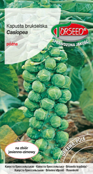 Nasiona Kapusta brukselska Casiopea 2g - Torseed
