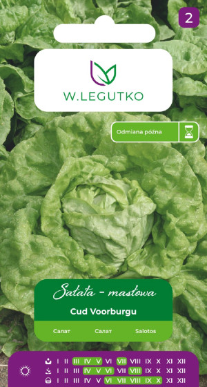 Nasiona Sałata Cud Voorburgu 1g - W.Legutko