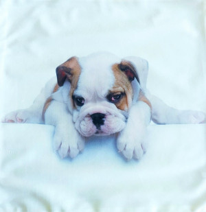 Poszewka dekoracyjna Szczeniak Buldoga Angielskiego