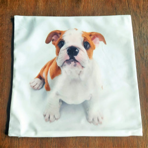 Poszewka dekoracyjna Buldog Angielski szczeniak