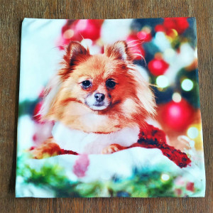 Poszewka dekoracyjna Szpic miniaturowy