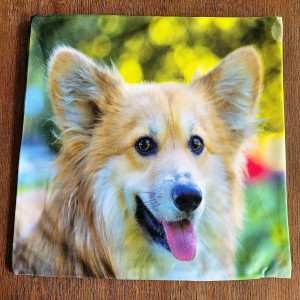 Poszewka dekoracyjna Corgi