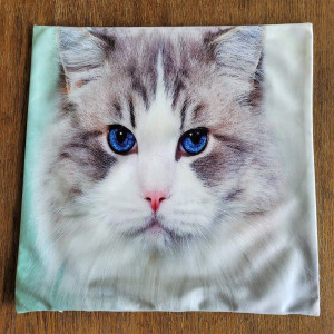 Poszewka dekoracyjna Szary kot