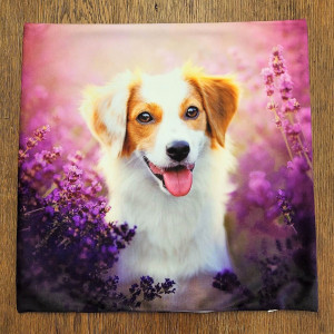 Poszewka dekoracyjna Pies wśród lawendy