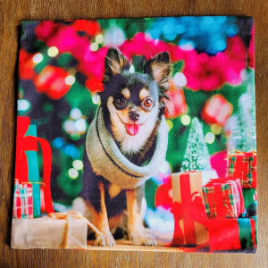 Bożonarodzeniowa poszewka dekoracyjna Chihuahua