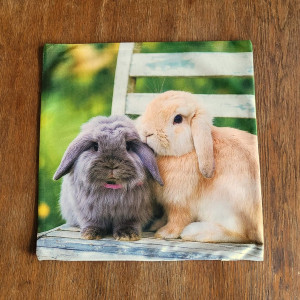 Wielkanocna poszewka dekoracyjna Króliki w ogrodzie