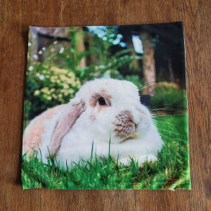 Wielkanocna poszewka dekoracyjna Królik na trawie