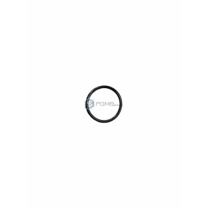 124796 O-ring T-max