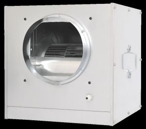 Ventilator in Dose 7/7/1400