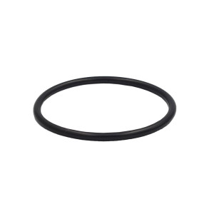 Schütz EPDM Runddichtung DN 50