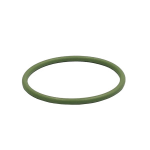 Schütz Viton® Runddichtung DN 50
