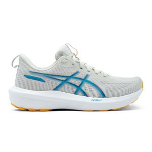 Asics GT-1000 14 Schuhe Herren grau 46.5