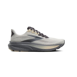 Brooks Ghost 17 Schuhe Herren grau 45.0