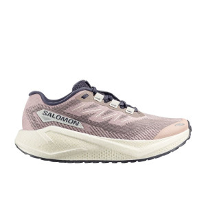 Salomon Aero Blaze 3 Gravel Schuhe Damen grau 43.3