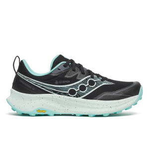 Saucony Peregrine 16 GTX Schuhe Damen schwarz 41.0