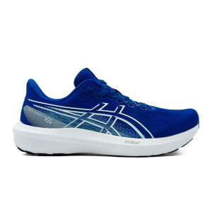 Asics GT-1000 15 Schuhe Herren blue 49.0