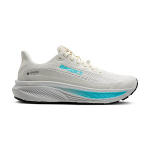 Brooks Ghost 17 GTX Schuhe Damen white 38.0