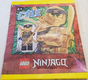 Lego 892295 - Cole (Paper Bag)