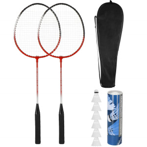 Zestaw do badmintona 9w1 z 2 paletkami i 6 lotkami