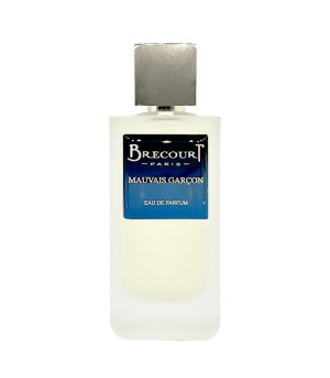 Brecourt Mauvais Garcon Edp 100ml