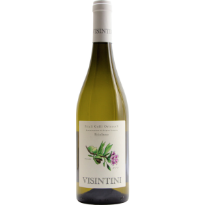 Friulano DOP Friuli Colli Orientali 2025