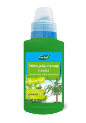 Westland Nawóz Płynny do Palm, Juk, Dracen 250ml