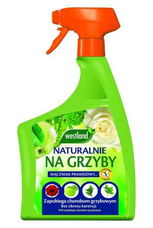 Westland NATURAL chor. grzyb.-gotowy do użycia, spryskiwacz 800ml