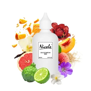 Armaf Club de Nuit Woman 100 ml Filler inspiracja  - Nicole trwałe zamienniki perfum