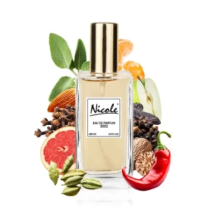 Viktor & Rolf Spicebomb Night Vision 100 ml inspiracja  - Nicole trwałe zamienniki perfum