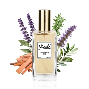 Hugo Boss Bottled Infinite 100 ml inspiracja  - Nicole trwałe zamienniki perfum