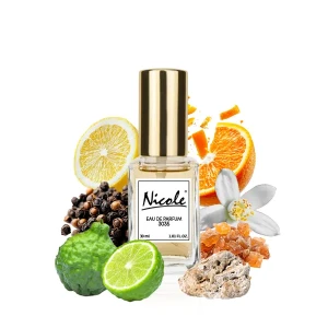 YSL L'Homme L'Intense 30 ml inspiracja  - Nicole trwałe zamienniki perfum
