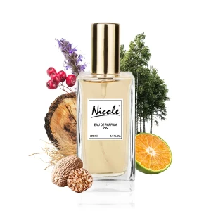 Givenchy Gentlemen Only 100 ml inspiracja  - Nicole trwałe zamienniki perfum