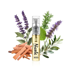 Hugo Boss Bottled Infinite Tester inspiracja  - Nicole trwałe zamienniki perfum