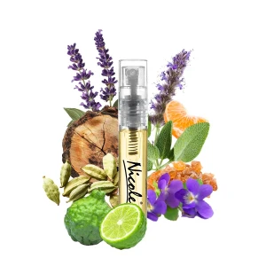 1 Million Royal Rabanne Tester inspiracja  - Nicole trwałe zamienniki perfum