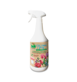 Chloris Spray [odświeża i wydłuża żywotność kwiatów ciętych i roslin doniczkowych]
