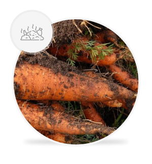Pozostałości [Akredytowane badanie na obecność i zawartość kilkuset substancji ŚOR w produkcie rolnym]