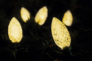 Lampki LED szyszki 20l Biały Ciepły 21-518 BULINEX