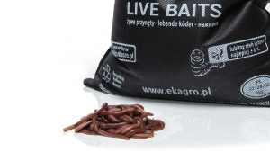 Czerwone robaki #2 0,5kg