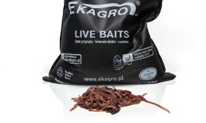 Czerwone robaki #2 1kg