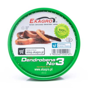 Dendrobena piccolo No3