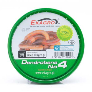 Dendrobena No4