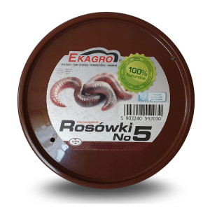 Rosówka kanadyjska No5