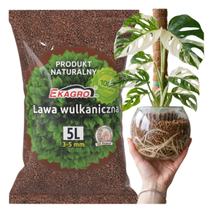 Lawa Wulkaniczna rozmiar S 5L