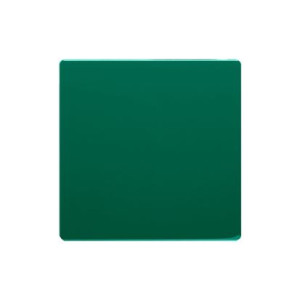 BASIC Klawisz pojedynczy; zielony